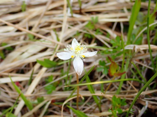 P6180042