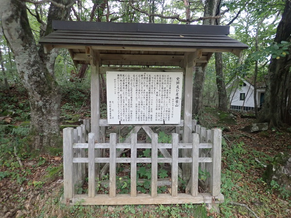 PA060176