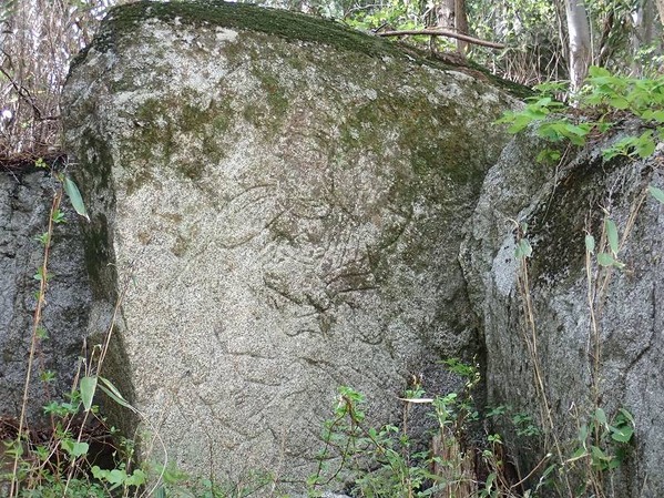 P5040312