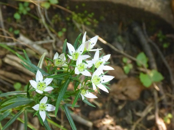P1230958