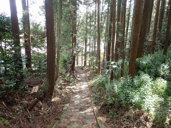 P3100097