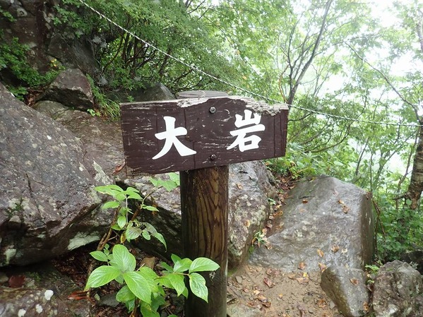 P9050102