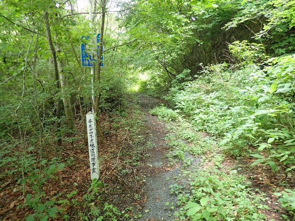 P7240004