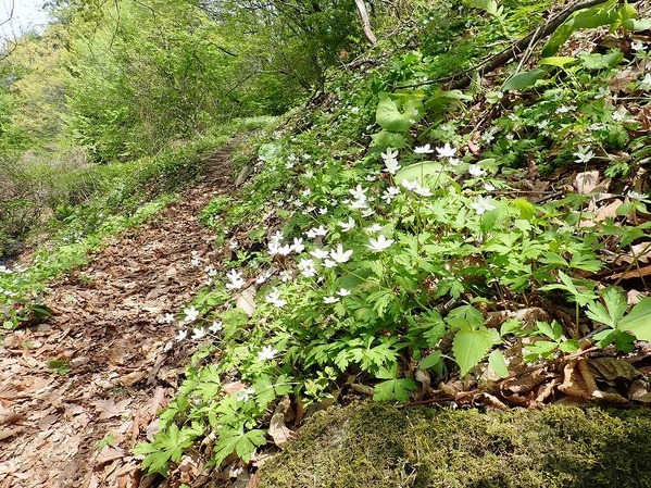 P5040140