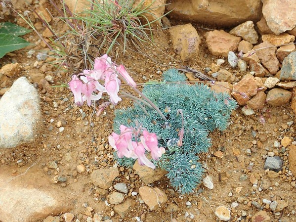 P7170056
