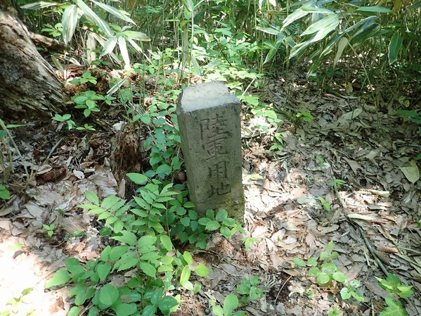 P5250019