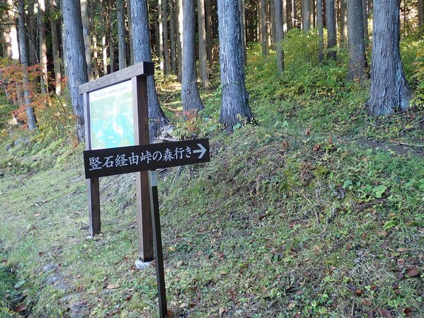PA310009