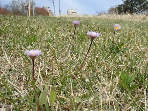P5060154