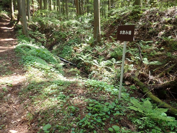 P5060056