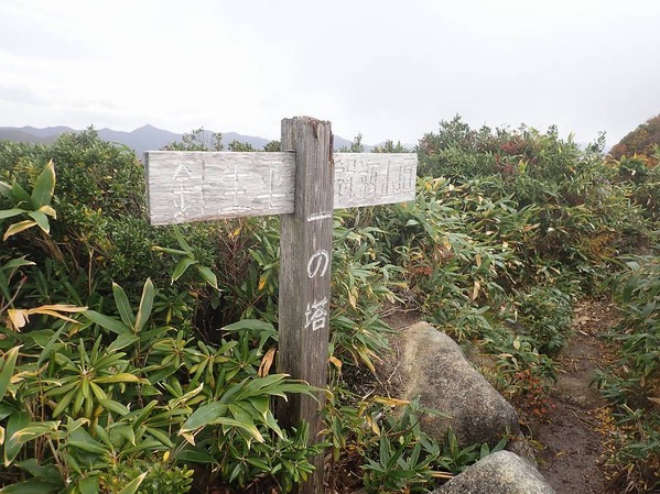 PA130020
