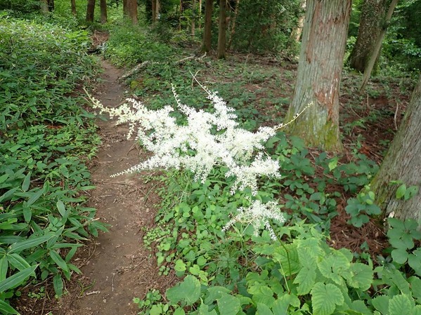 P7210011
