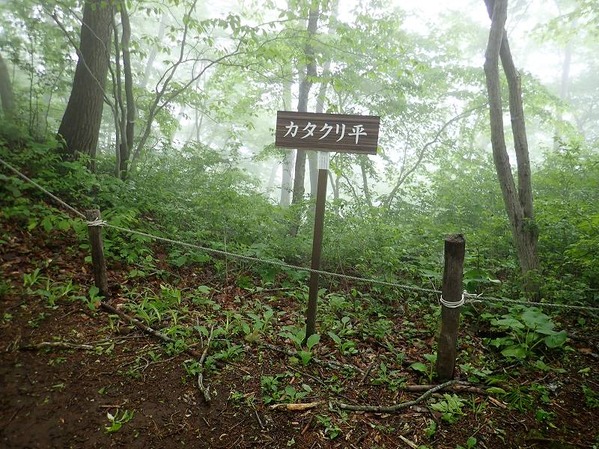 20210519_megami (40)