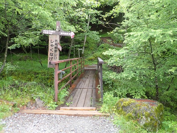 P7170004