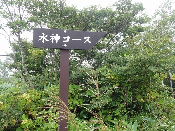 P9050069