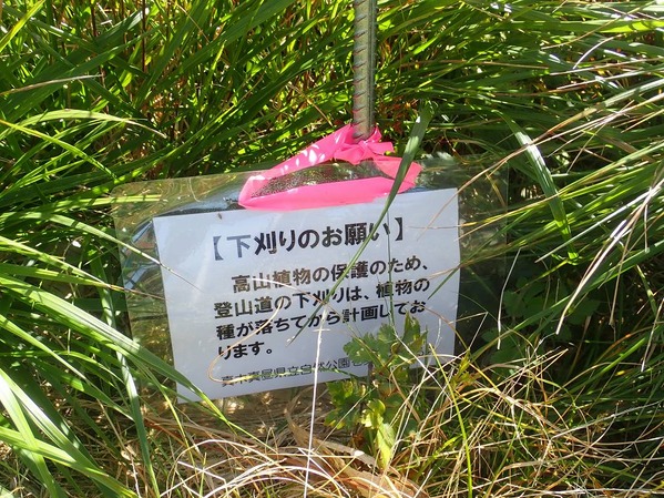 P9100146
