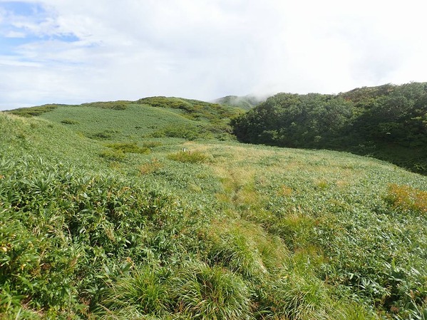 P9090059