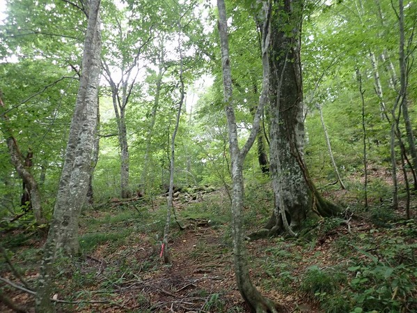 P9090011