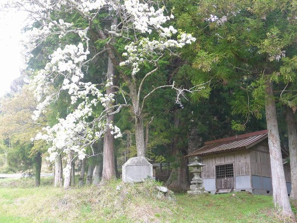 P1230023