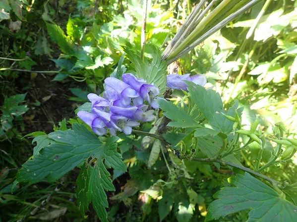 P9100111