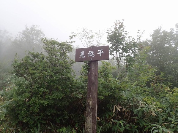 P9050040