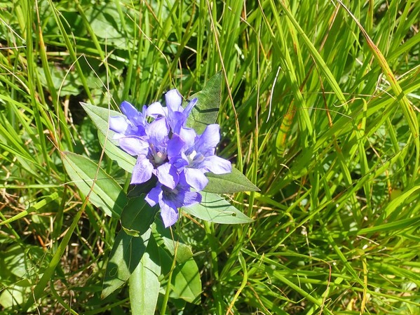 P9100149