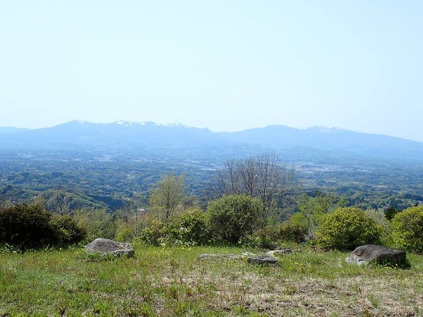 P5040285