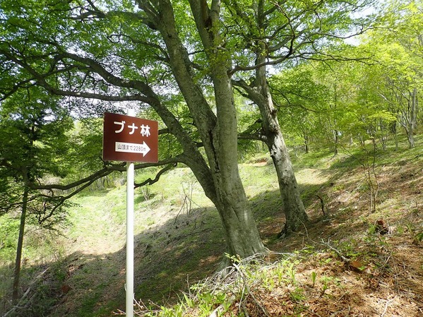 P5060099