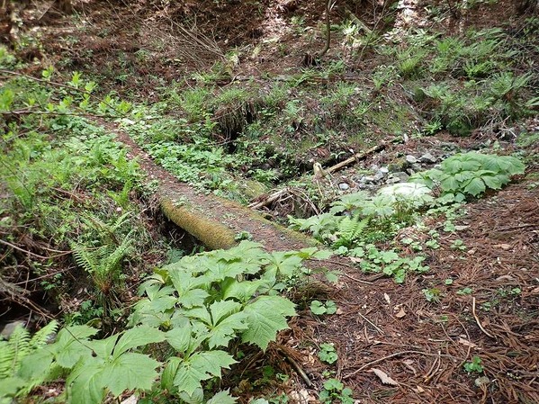 P5040027