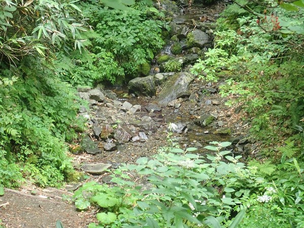 P8240107