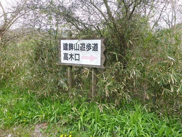 P1230016