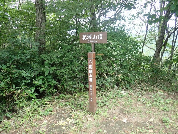 P8020072