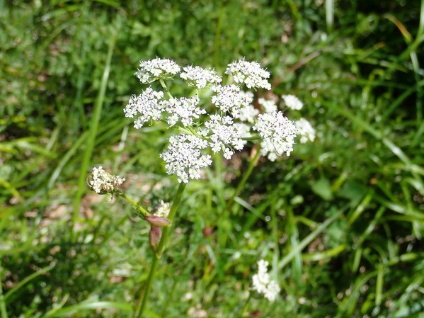 P8290072