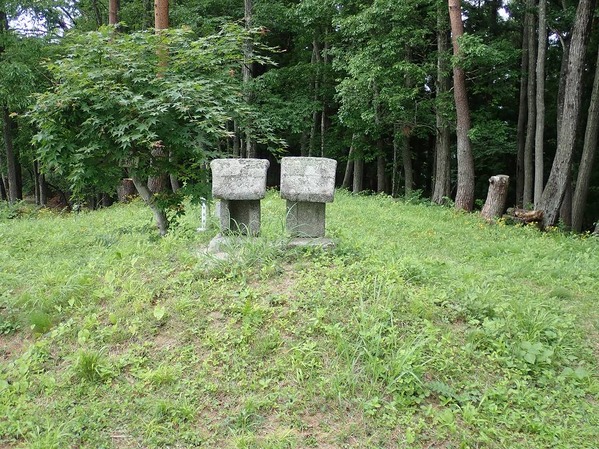 P6010196