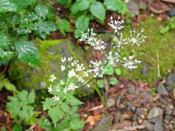 P8240110