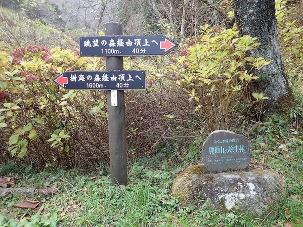 PC050012