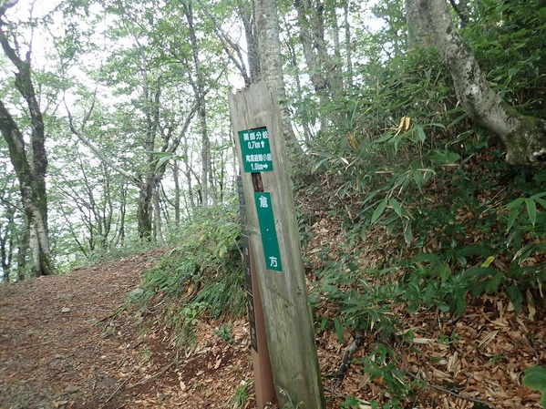 P9090017