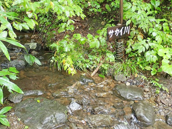 P9050008