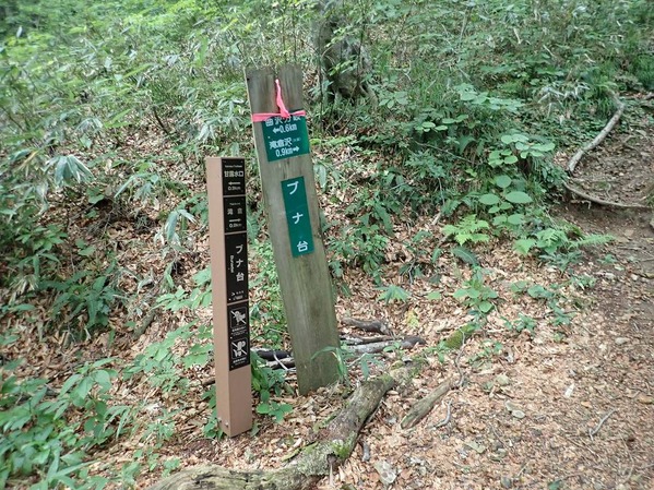 P9090010