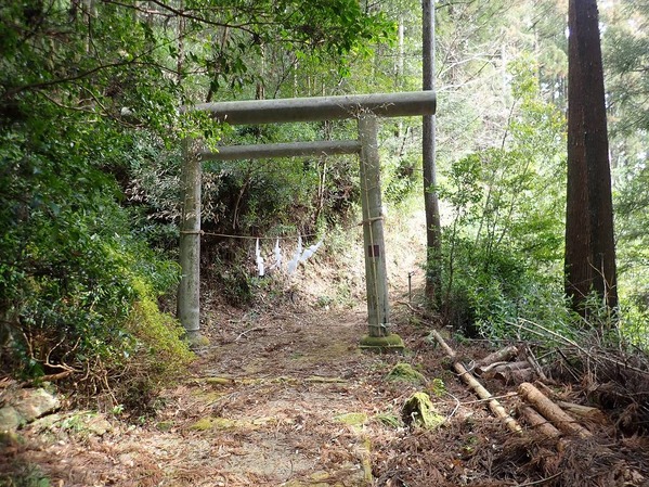 P3100069