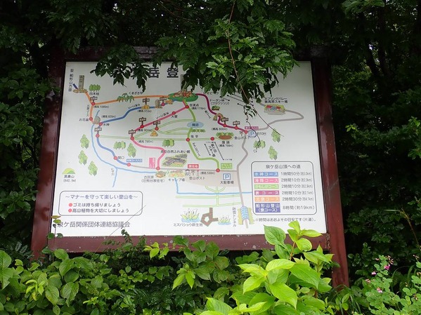 P9050002