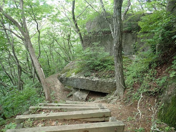 P8020079