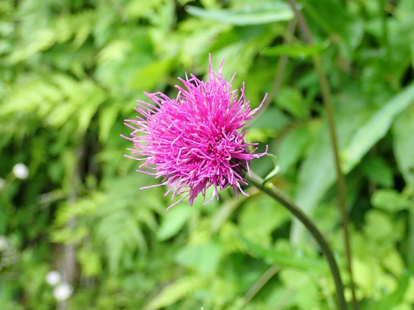 P6010180