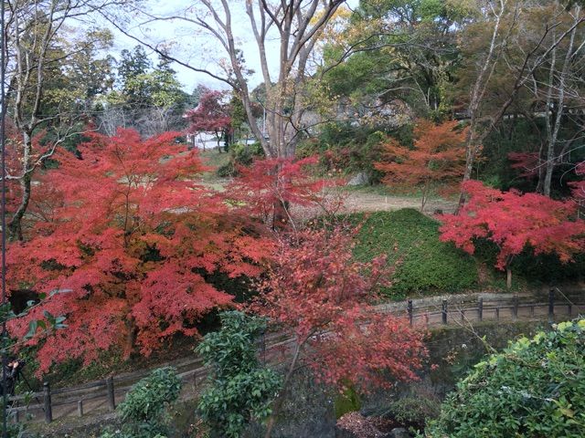 1516紅葉ラン 根来寺 粉河寺 犬鳴山 Ftkentの美濃単身自転車日記 1516紅葉ラン 根来寺 粉河寺 犬鳴山 Ftkentの美濃単身自転車日記