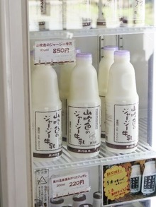 山吹色のジャージー牛乳