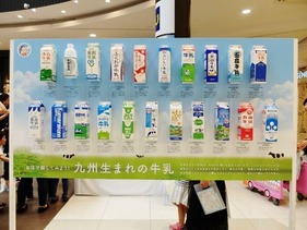 牛乳パックの展示