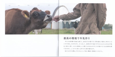 リーフレット5