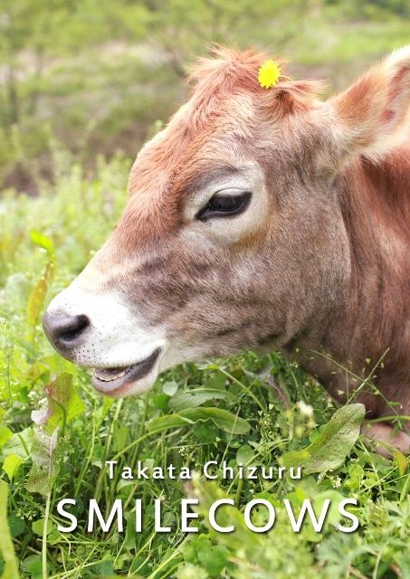 高田千鶴さんの写真展 牛のまなざし が開催されます 愛しの牛乳パック