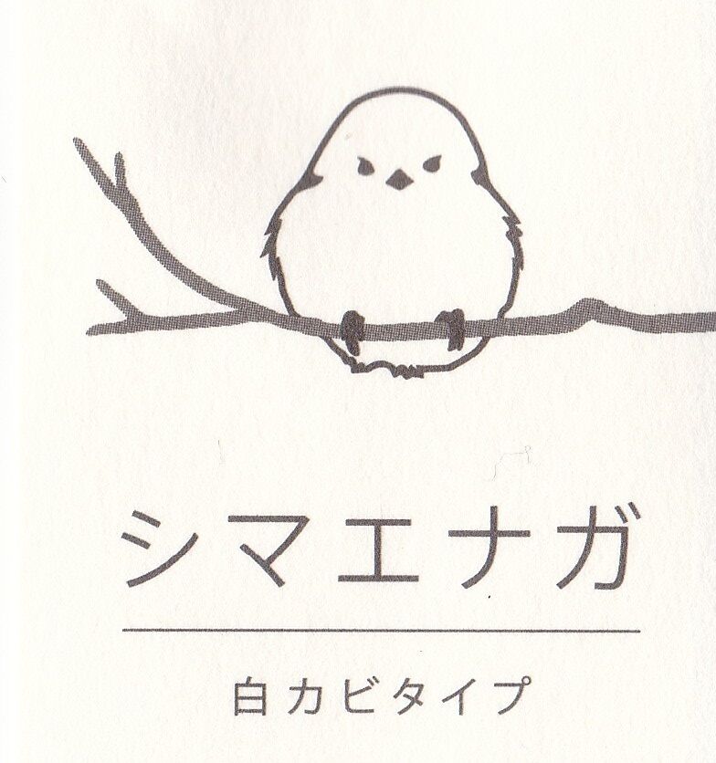 愛しの牛乳パック