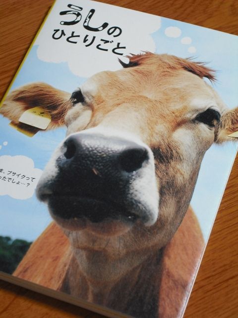 高田千鶴さんの写真展 牛のまなざし が開催されます 愛しの牛乳パック