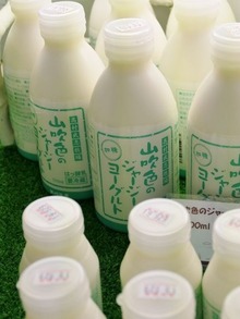 山吹色のジャージーヨーグルト